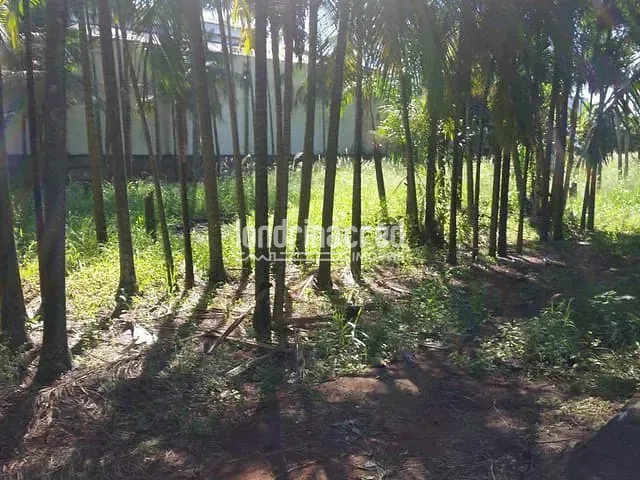 Terreno com 4950m², à venda, no bairro Jardim Rosicler em Londrina
