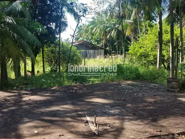 Terreno com 4950m², à venda, no bairro Jardim Rosicler em Londrina