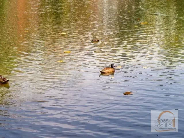 Terreno com 1900m², à venda, no bairro Jardim do Lago em Atibaia
