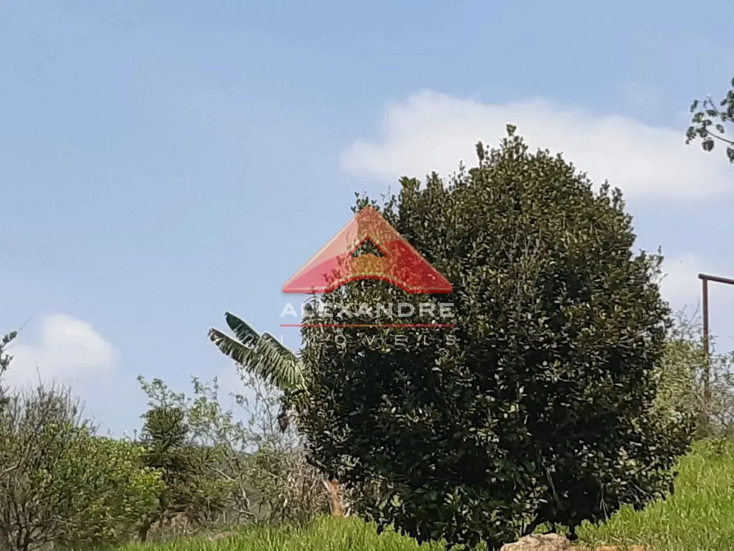 Terreno, 2 hectares - Foto 15