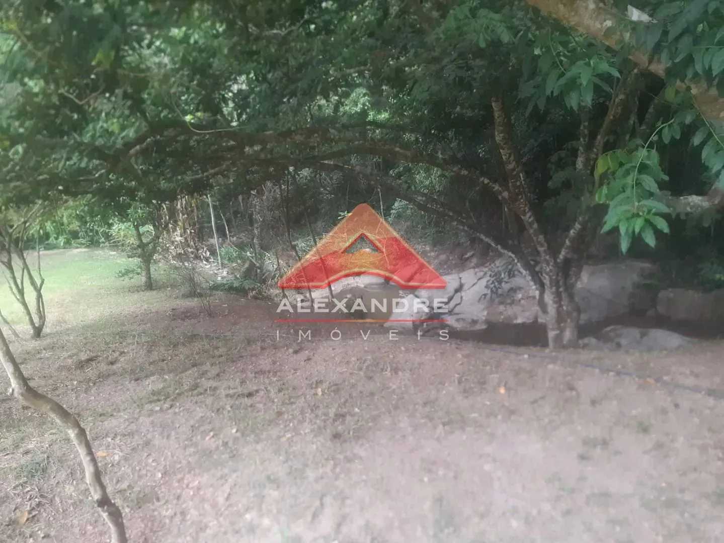 Terreno, 2 hectares - Foto 14