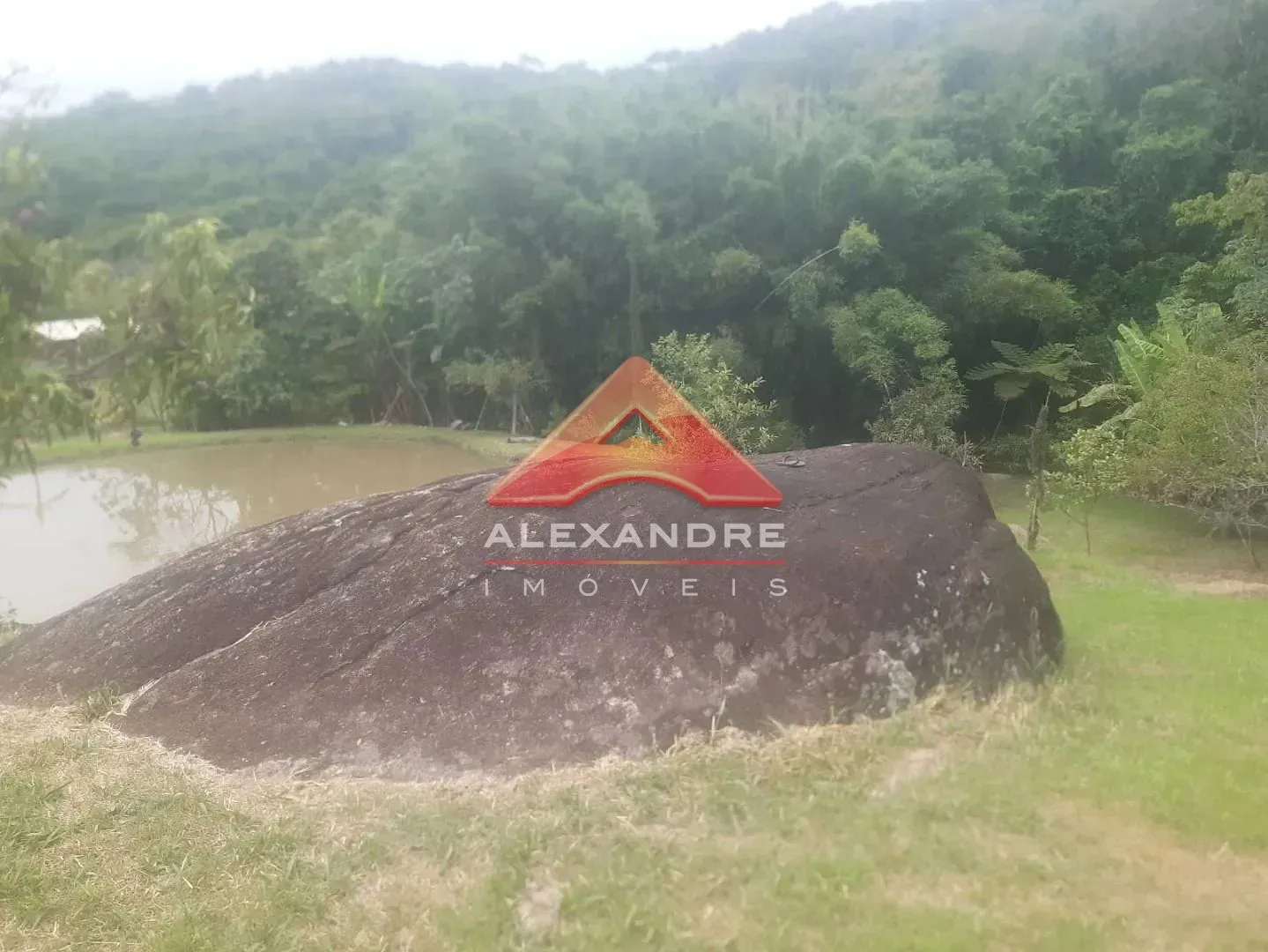 Terreno, 2 hectares - Foto 11