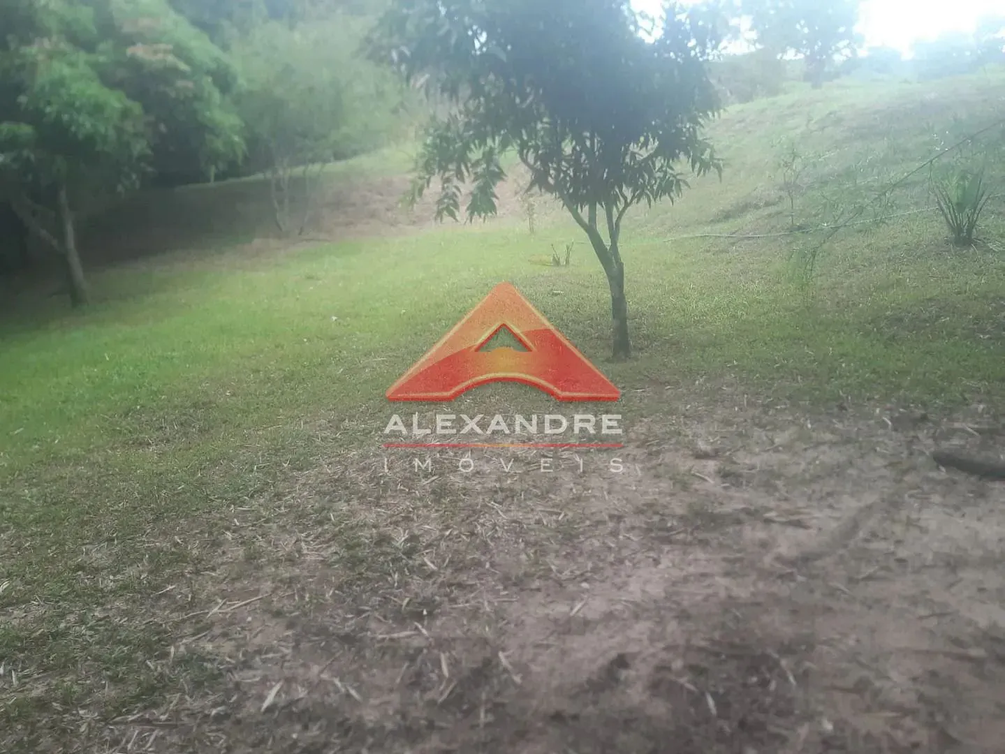 Terreno, 2 hectares - Foto 10