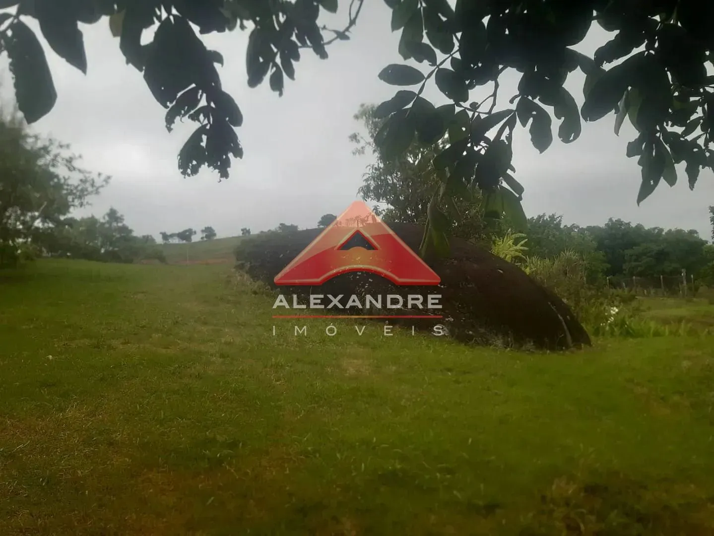 Terreno, 2 hectares - Foto 8