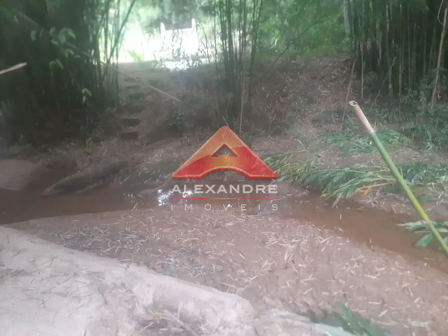 Terreno, 2 hectares - Foto 13