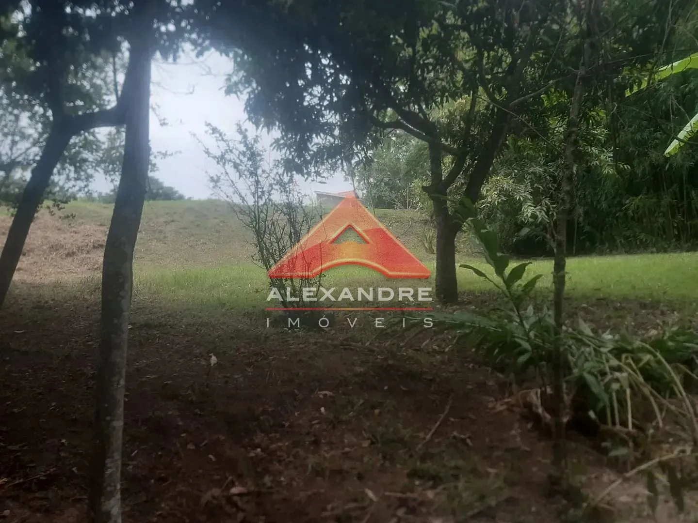 Terreno, 2 hectares - Foto 6