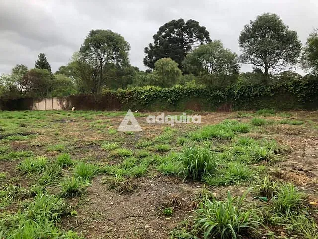 Terreno com 2542m², à venda, no bairro Cará-cará em Ponta Grossa