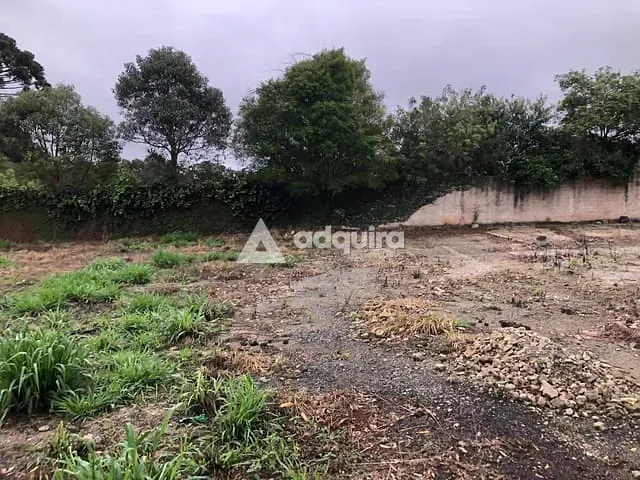 Terreno com 2542m², à venda, no bairro Cará-cará em Ponta Grossa
