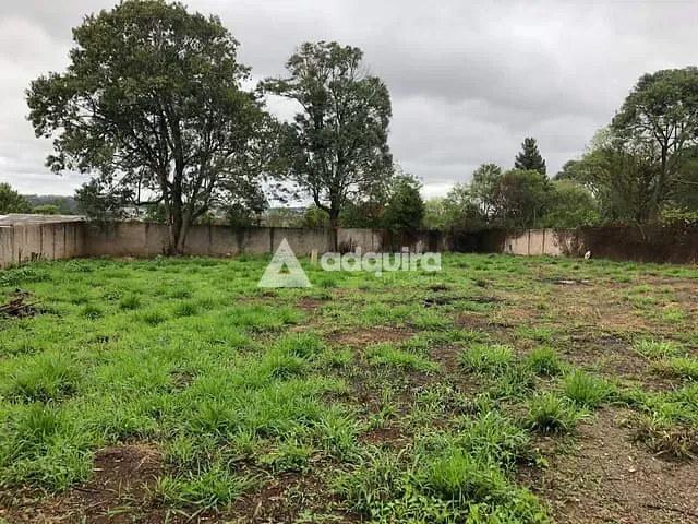 Terreno com 2542m², à venda, no bairro Cará-cará em Ponta Grossa