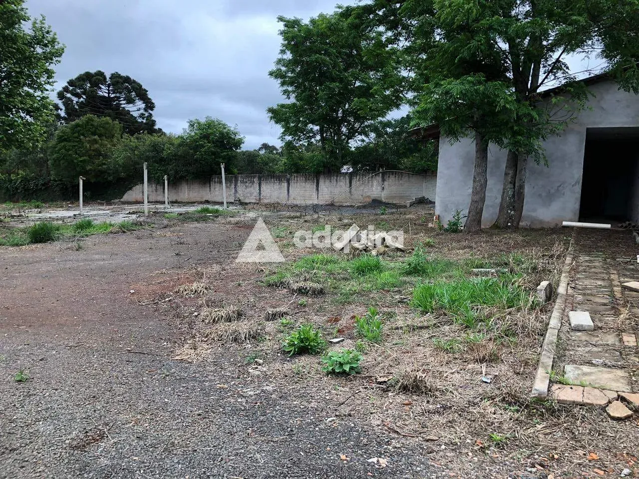Terreno, 2542 m² - Foto 10
