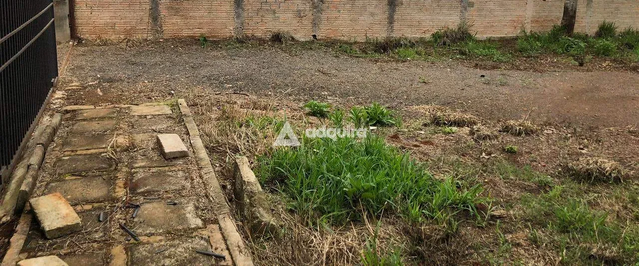Terreno, 2542 m² - Foto 8