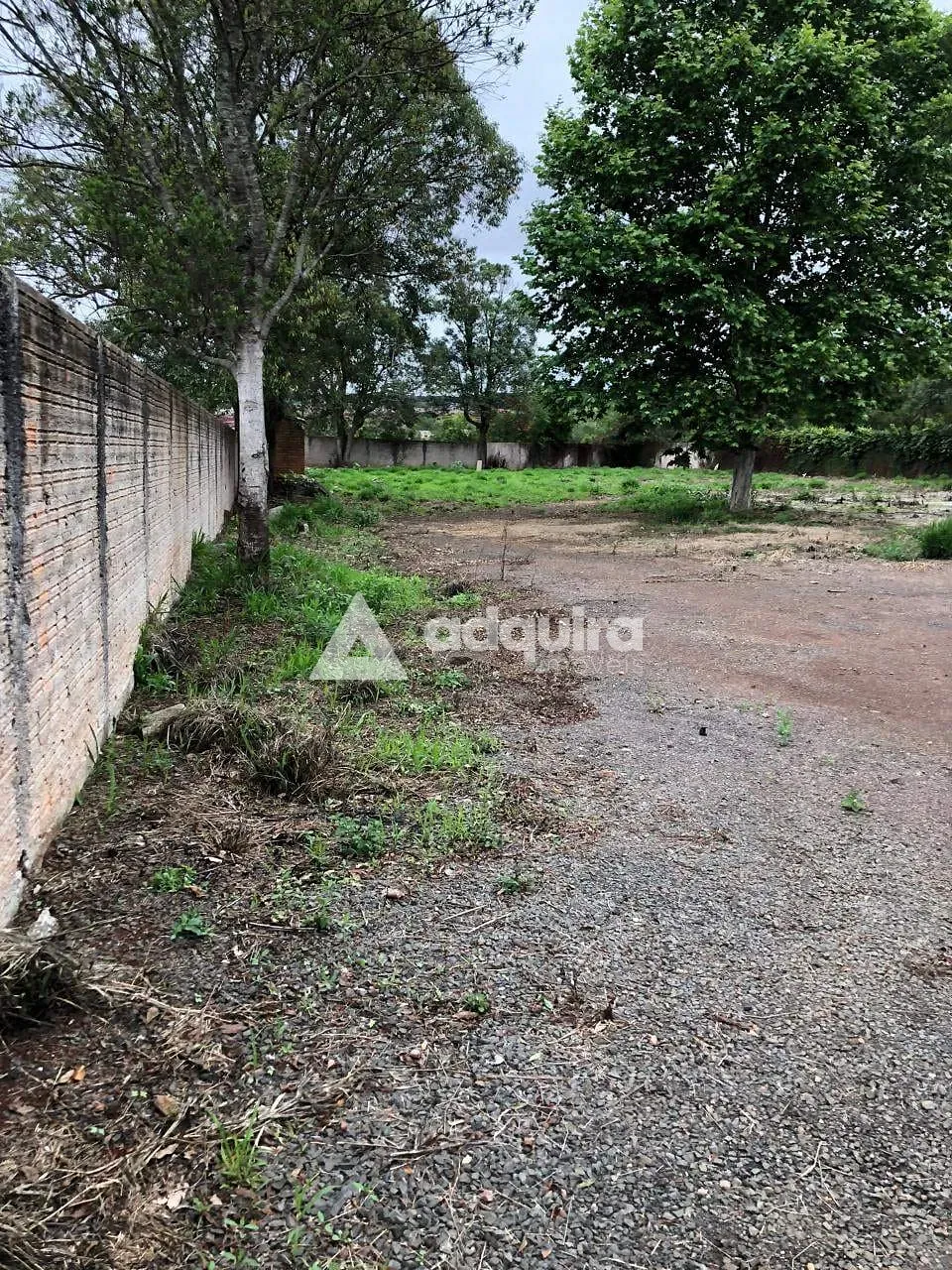 Terreno, 2542 m² - Foto 12
