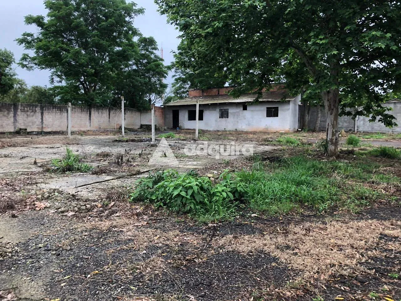Terreno, 2542 m² - Foto 2