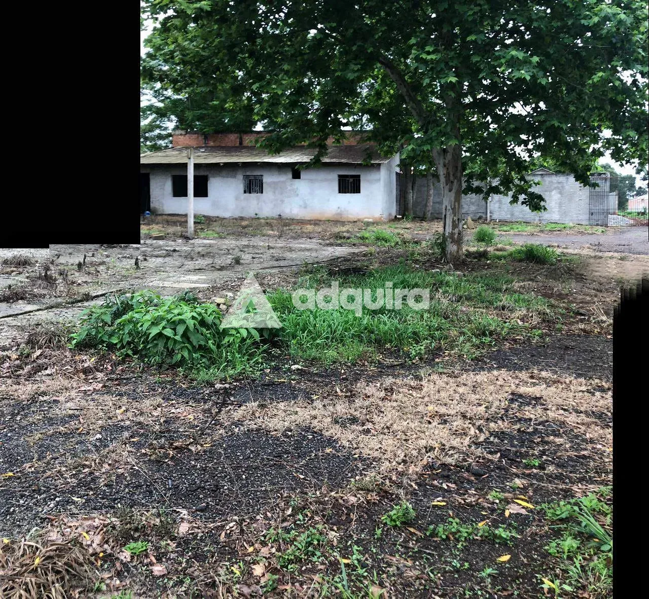 Terreno, 2542 m² - Foto 6