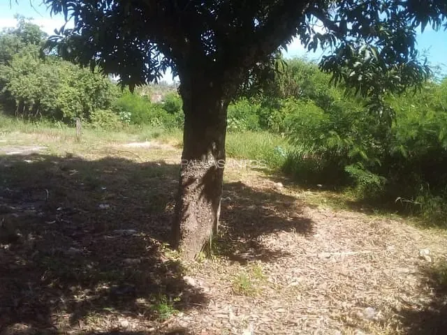 Terreno com 290m², à venda, no bairro Jardim Rodrigo em Sorocaba