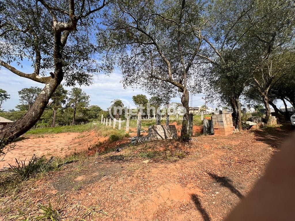 Terreno, 1 hectares - Foto 9