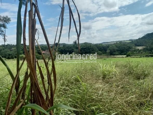 Terreno, 4887 m² - Foto 2