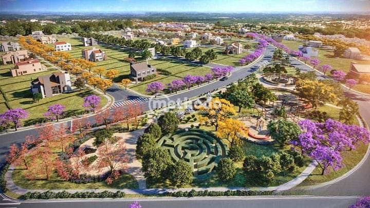 Terreno, 445 m² - Foto 6