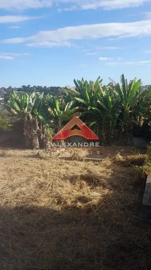 Terreno, 1960 m² - Foto 5
