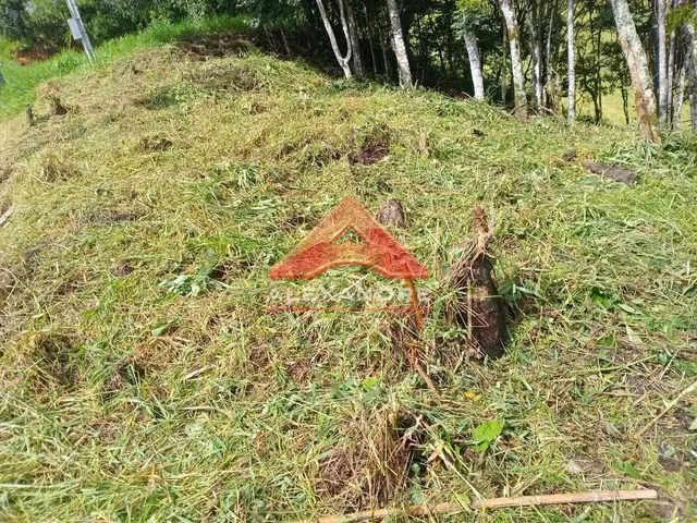 Terreno com 692m², à venda, no bairro Bairro do Cristal em Santo Antônio Do Pinhal