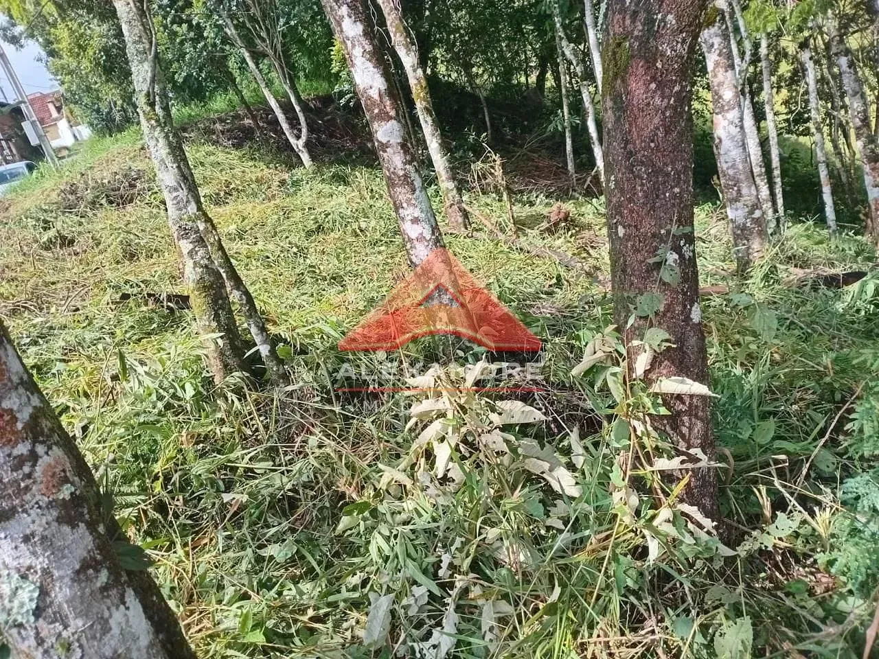 Terreno, 692 m² - Foto 7