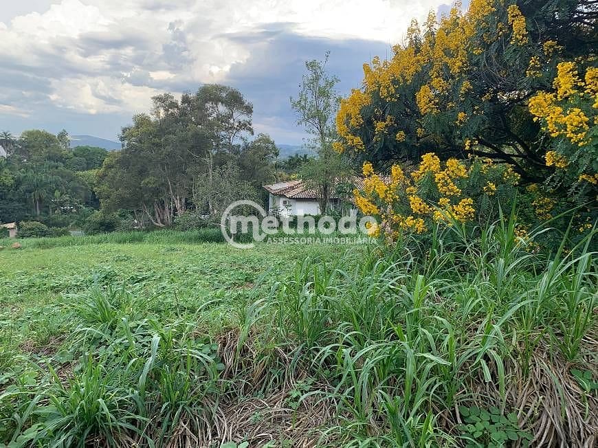 Terreno, 5090 m² - Foto 6