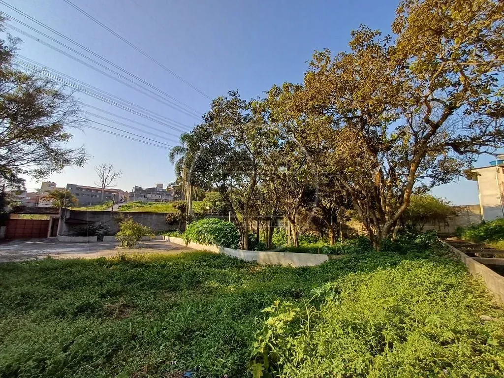 Terreno, 1502 m² - Foto 7