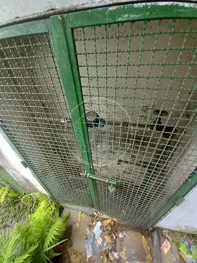 Terreno, 500 m² - Foto 4