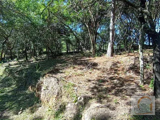 Terreno com 20000m², à venda, no bairro Parque Fernão Dias em Atibaia