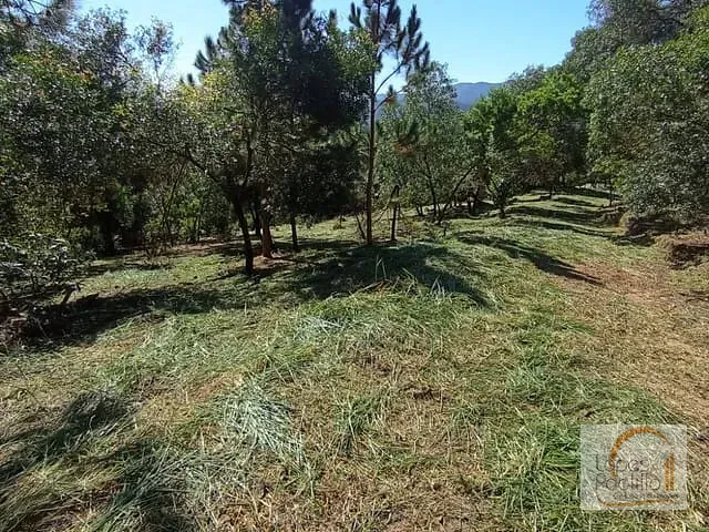 Terreno com 20000m², à venda, no bairro Parque Fernão Dias em Atibaia