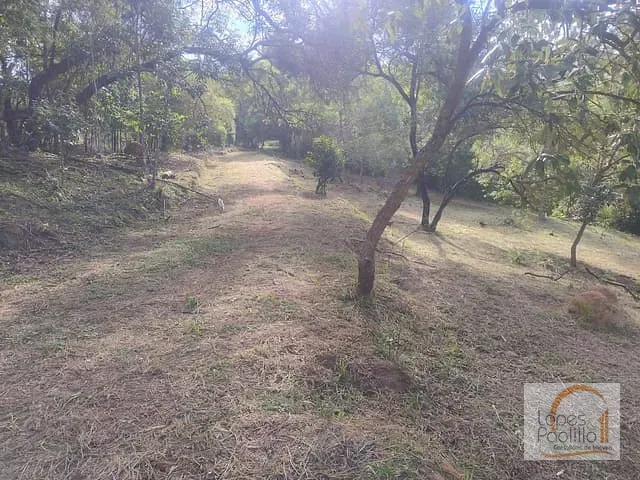 Terreno com 20000m², à venda, no bairro Parque Fernão Dias em Atibaia