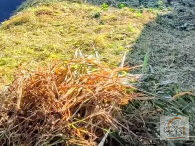 Terreno com 175m², à venda, no bairro Nova Cerejeira em Atibaia
