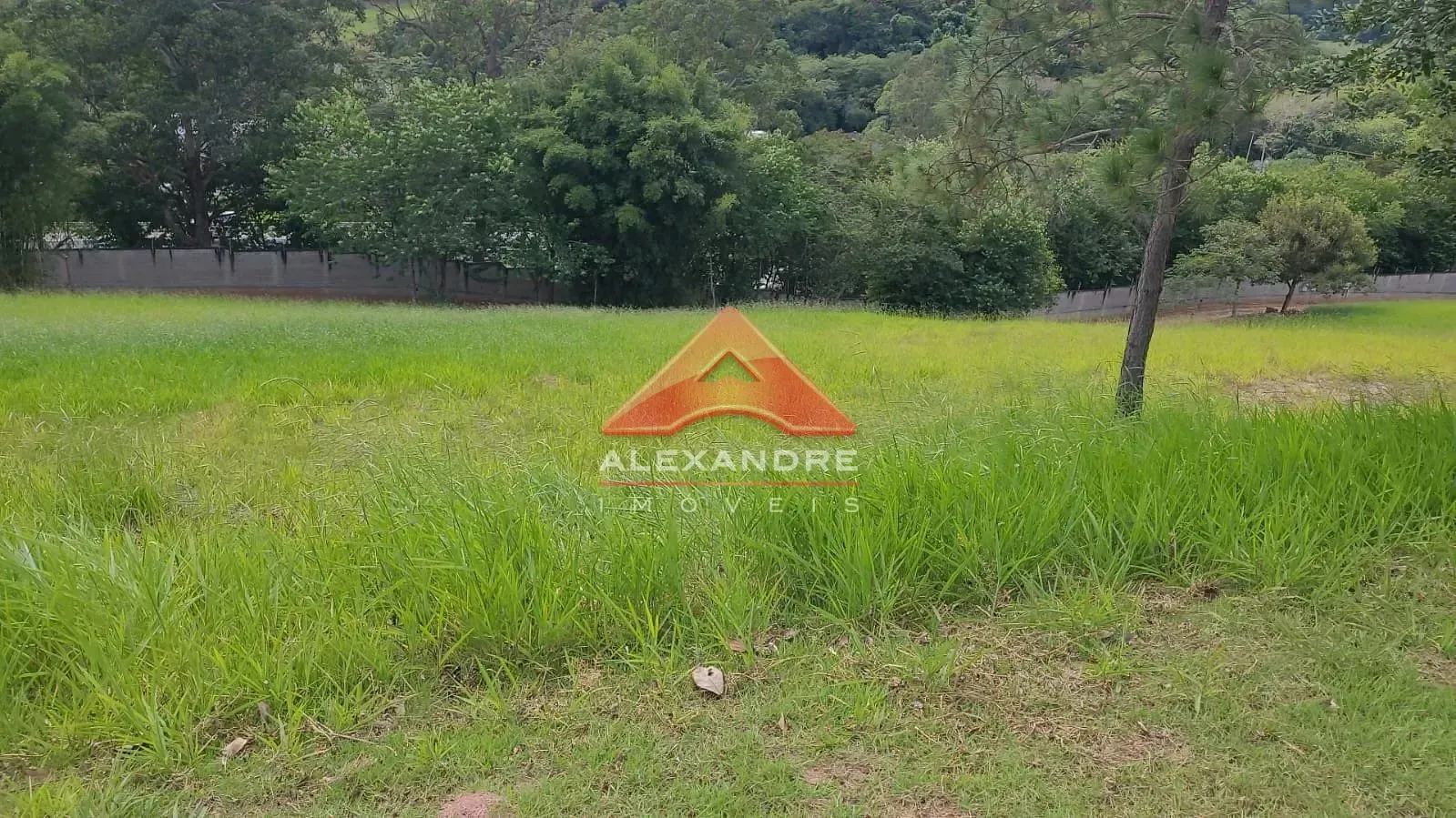 Terreno, 1000 m² - Foto 3
