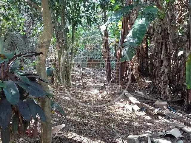 Terreno com 2060m², à venda, no bairro Vila Carmosina em São Paulo