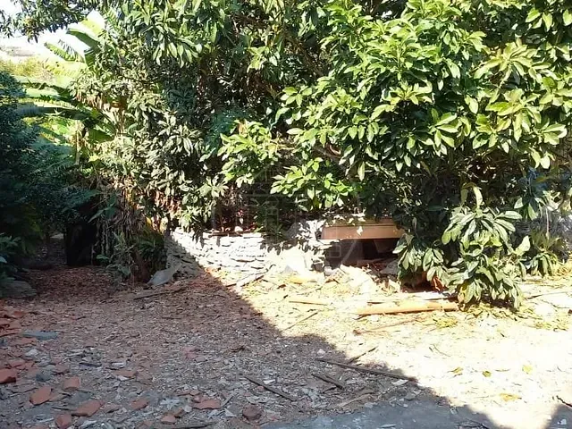Terreno com 2060m², à venda, no bairro Vila Carmosina em São Paulo