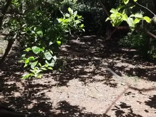 Terreno com 1200m², à venda, no bairro Chácara Ipês em Caçapava