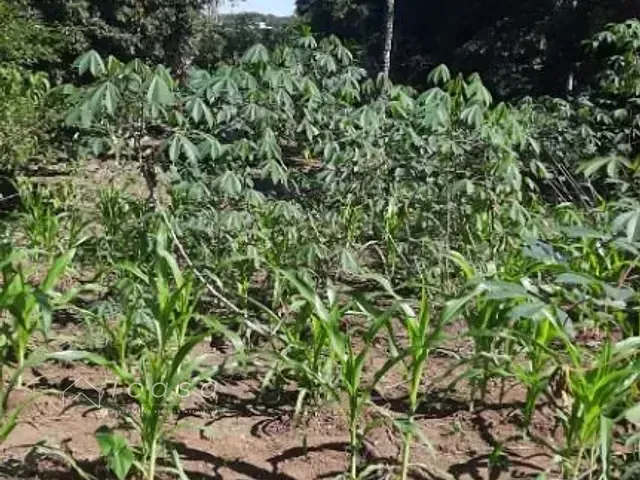 Terreno com 1200m², à venda, no bairro Chácara Ipês em Caçapava