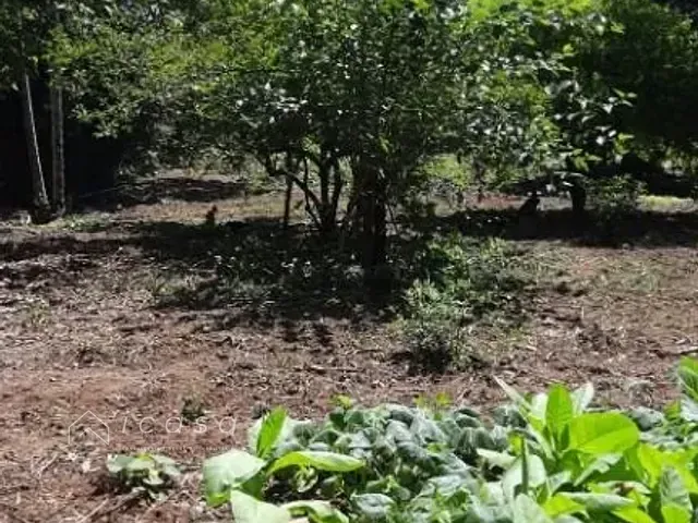 Terreno com 1200m², à venda, no bairro Chácara Ipês em Caçapava