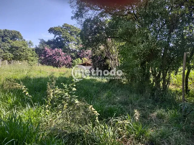 Terreno com 1500m², à venda, no bairro Bosque das Palmeiras em Campinas