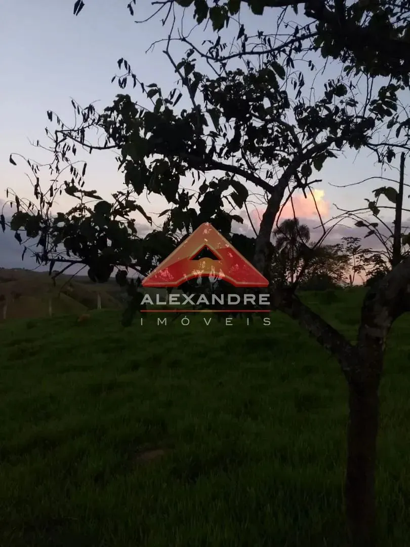 Terreno, 1750 m² - Foto 4