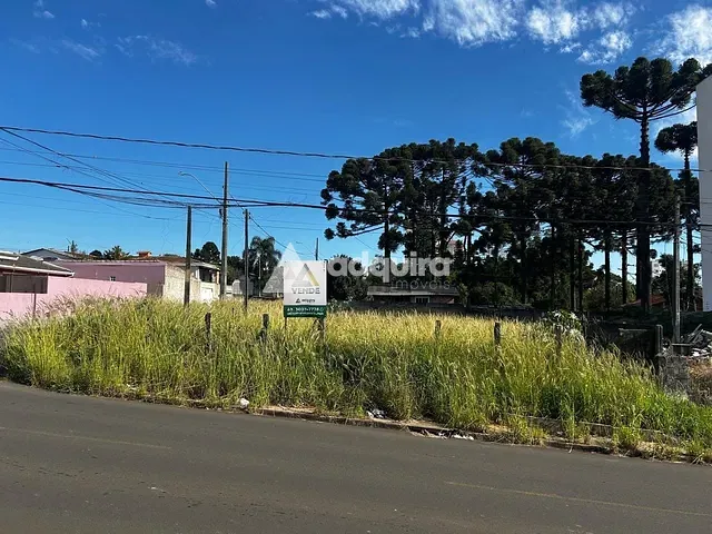 Terreno com 462m², à venda, no bairro Orfãs em Ponta Grossa