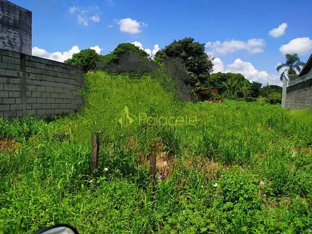 Terreno com 770m², à venda, no bairro Vila São Benedito em Pindamonhangaba