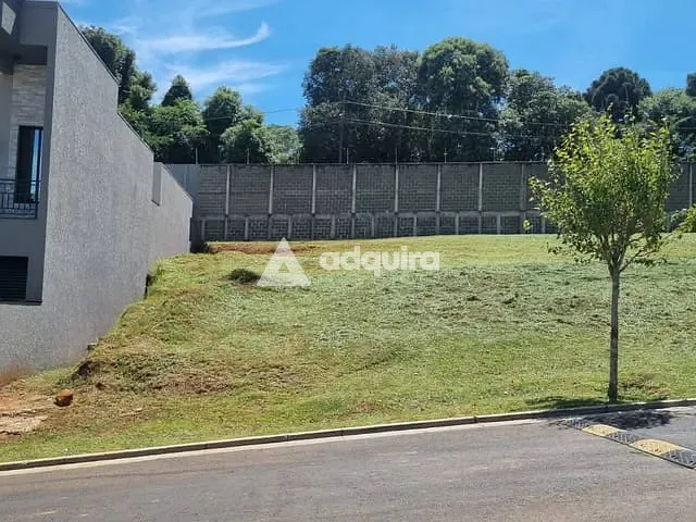 Terreno com 300m², à venda, no bairro Colônia Dona Luíza em Ponta Grossa