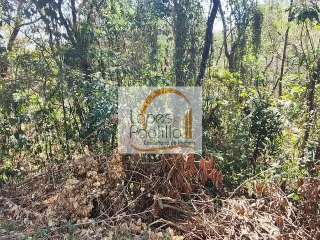 Terreno com 6000m², à venda, no bairro Recanto dos Palmares em Atibaia