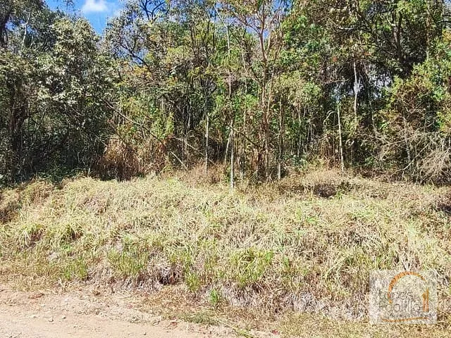 Terreno com 6000m², à venda, no bairro Recanto dos Palmares em Atibaia