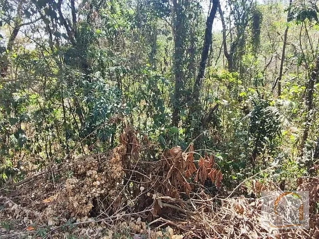 Terreno com 6000m², à venda, no bairro Recanto dos Palmares em Atibaia
