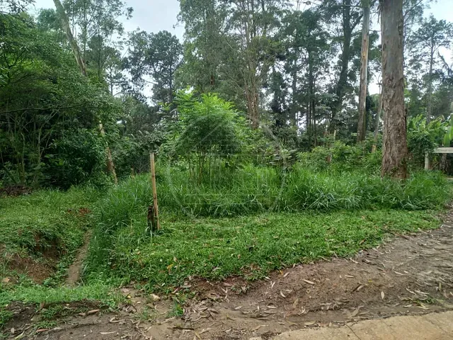 Terreno com 5000m², à venda, no bairro Chácara das Corujas em São Paulo