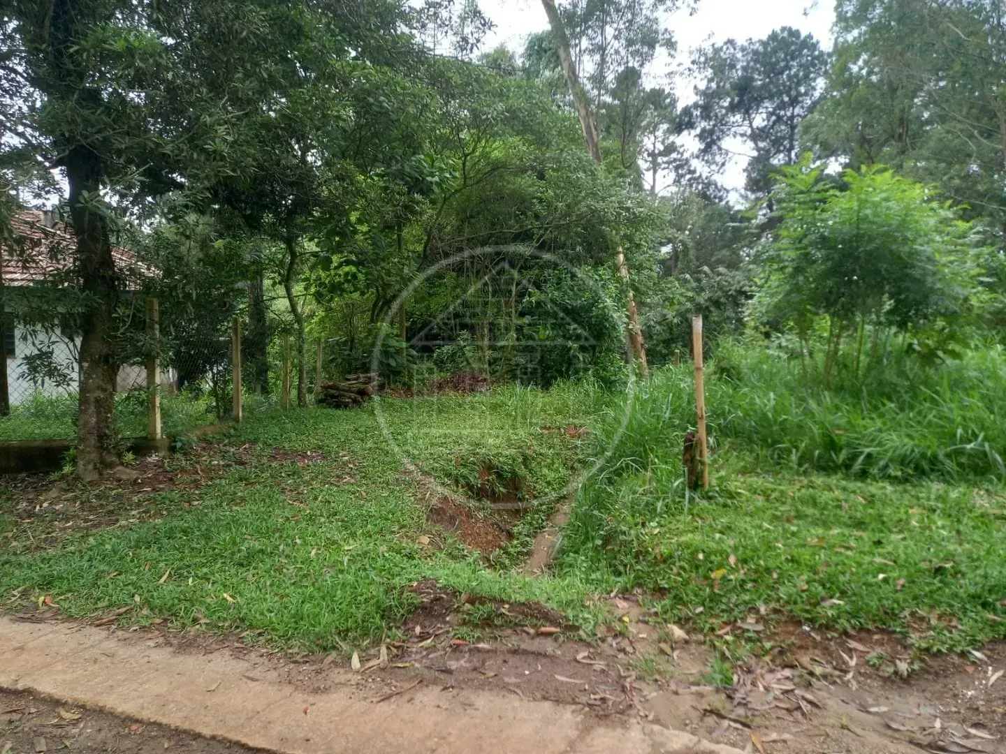 Terreno, 5000 m² - Foto 2