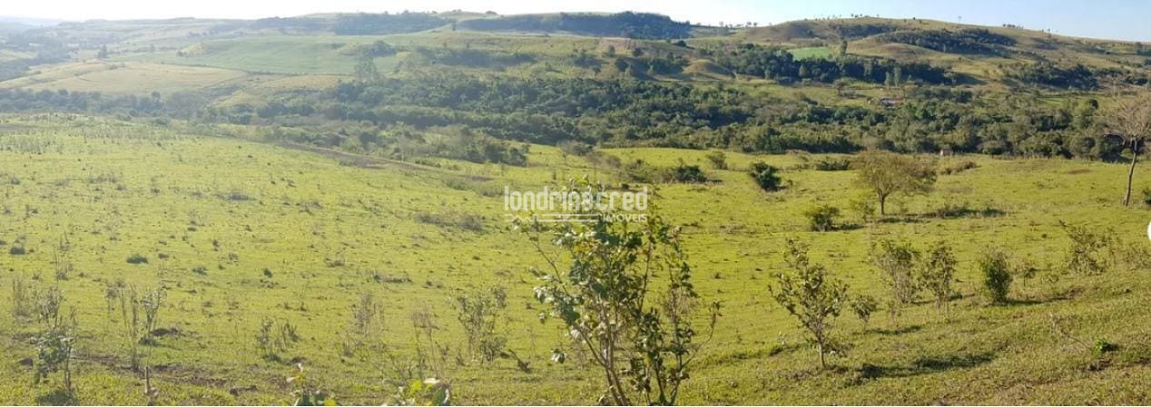 Terreno, 80 hectares - Foto 10