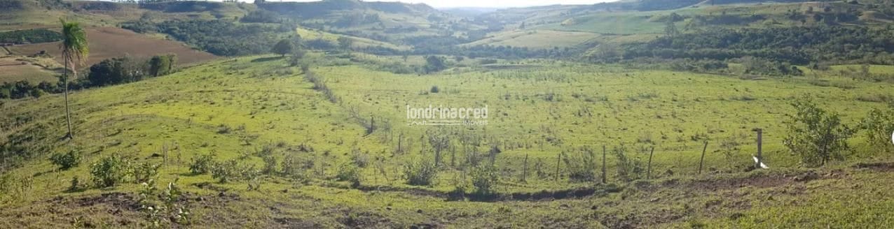 Terreno, 80 hectares - Foto 11